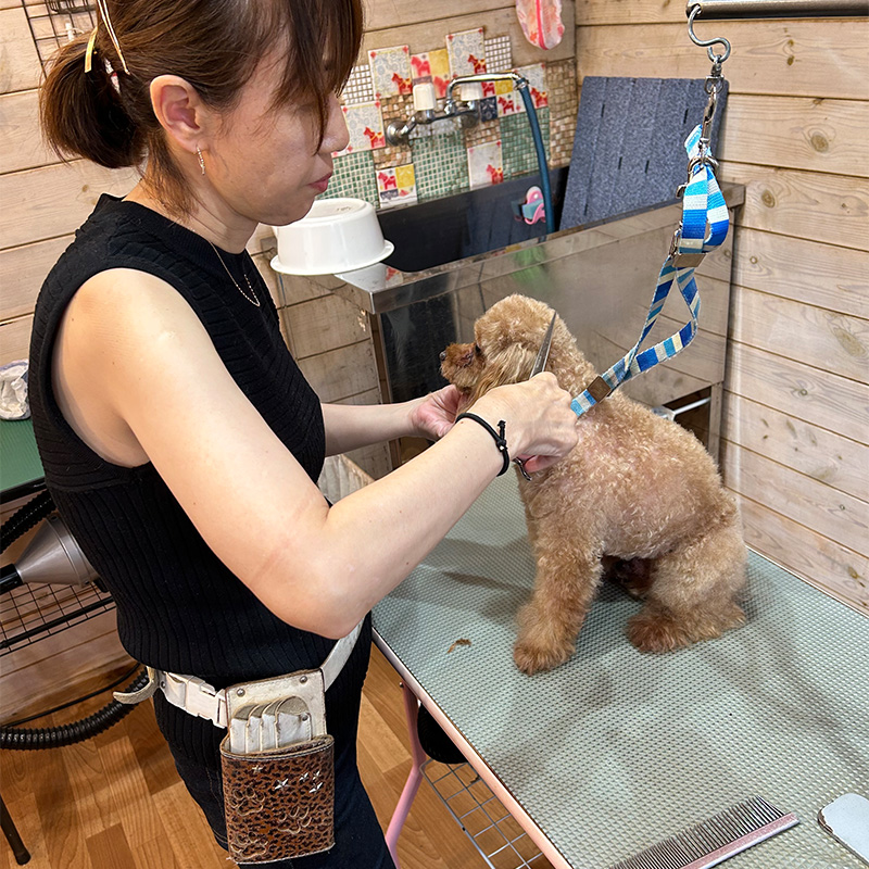 茨城県つくば市のドッグサロンR.E.T